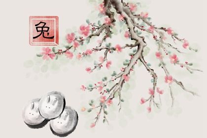 2023年几月份怀孕是属兔 2023年出生的兔宝宝命运分析 2023年几月份怀孕是属兔 2023年出生的兔宝宝命运分析