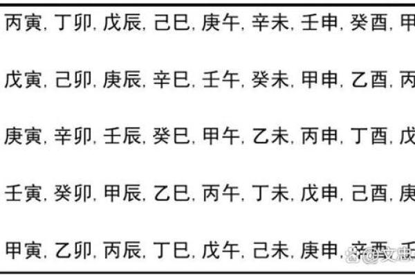 探索乙亥丙戌丁丑亥命理的奥秘与智慧
