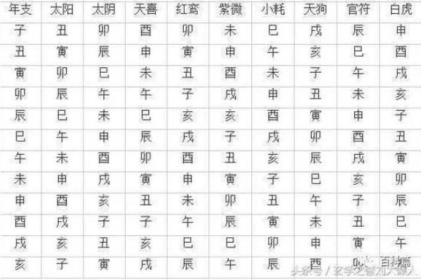 探秘命理：哪些命格容易出帅哥？