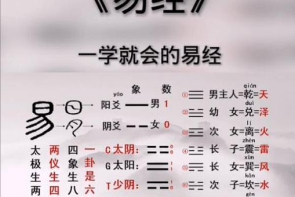 探秘命理之华盖：揭示命运中的神秘光辉与智慧之路
