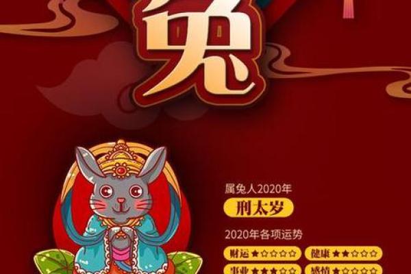 兔年出生者的颜色偏好与生活运势探讨