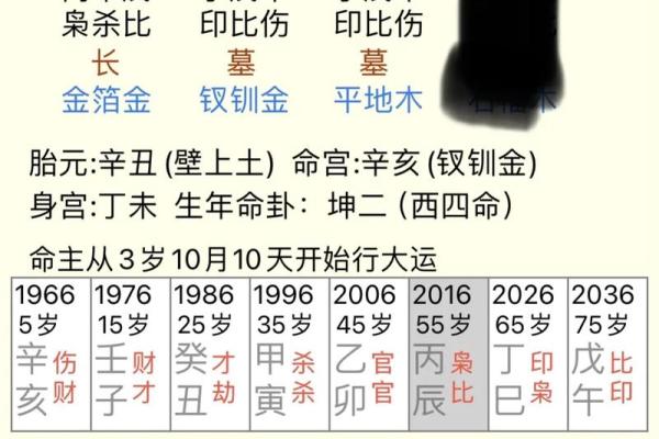 阴历97年出生的人：命理解析与生活智慧