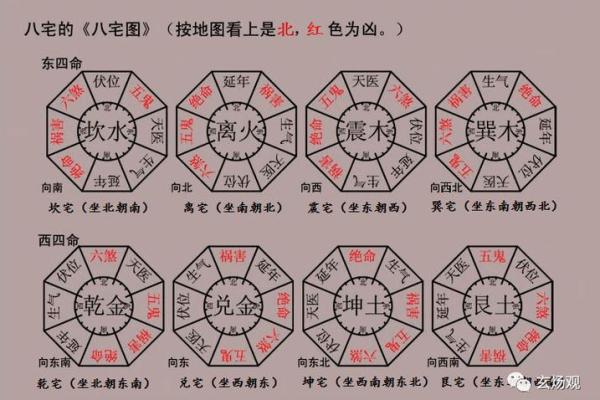 大海水命：适合的车牌选择与风水解析