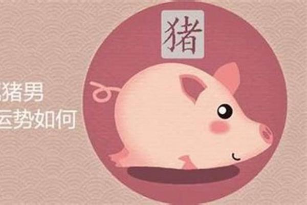 属猪女2019年运势解析：命运与性格的完美结合