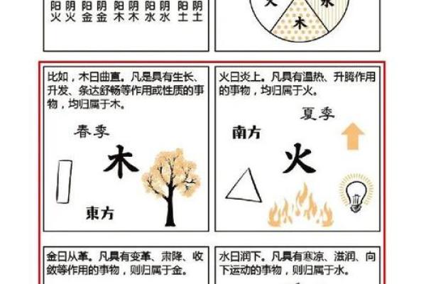 木命人最适合的颜色有哪些？解密色彩与命理的秘密！
