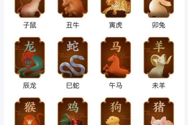 1999年正月26日：生肖兔的命运与运势探秘