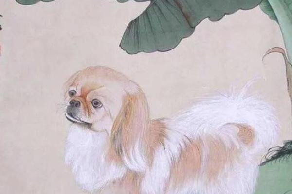 属狗水命的幸运颜色，提升运势的方法与搭配指导