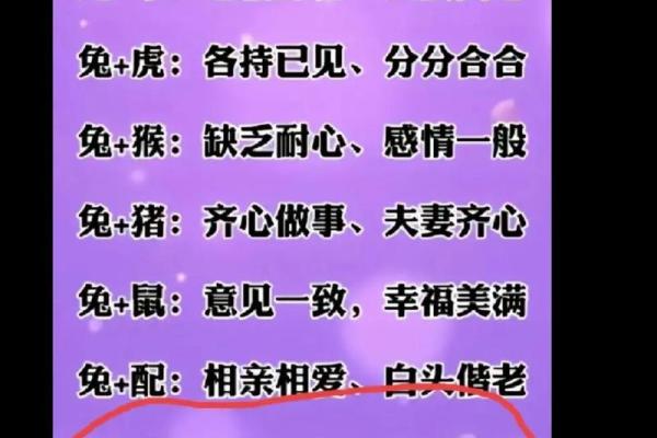 1981年男生命理解析:揭示命中注定的神秘线索 1981年男生命理解析:揭示命中注定的神秘线索