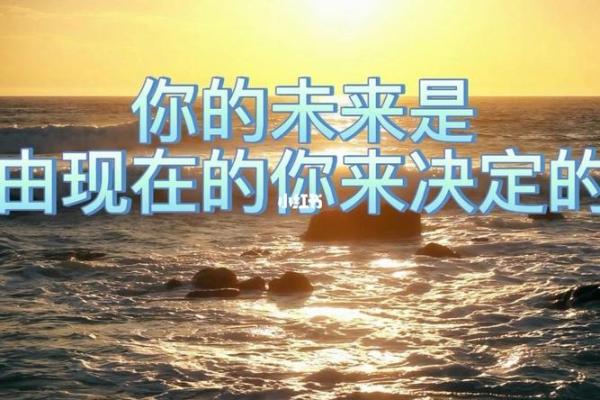 206年出生宝宝的命运解析:让你知道他未来的奇妙旅程 206年出生宝宝的命运解析:让你知道他未来的奇妙旅程