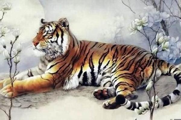 探秘74虎腊月命运：揭示隐藏的生命奥秘与人生解析