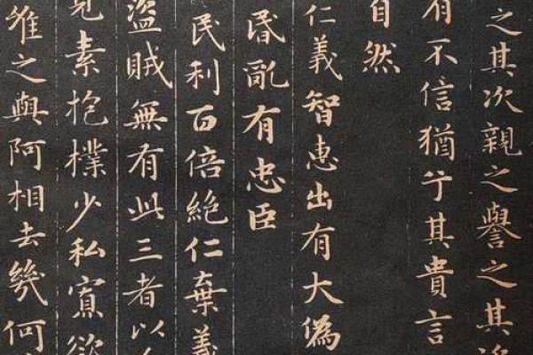什么命最好最孝顺的人，揭示人们心中的道德典范！