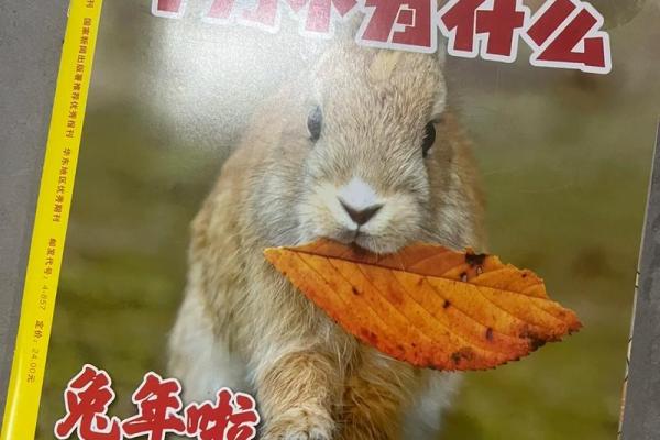 1972年兔年：命运与性格的完美结合