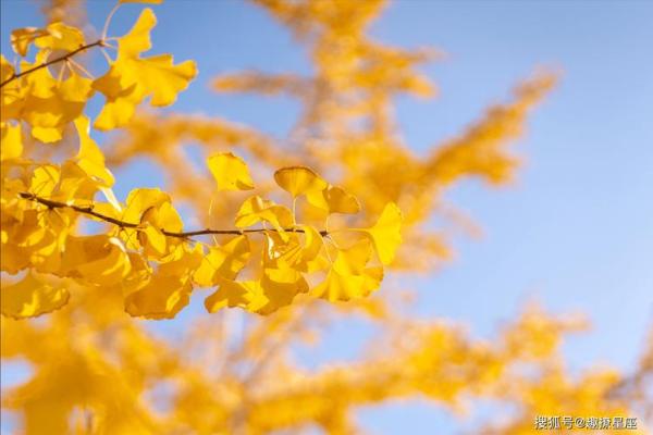 揭秘2019年哪几个月份最适合你，带来运势的转机！