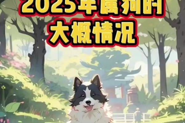 1975年属狗人的命运与性格特点剖析 1975年属狗人的命运与性格特点剖析