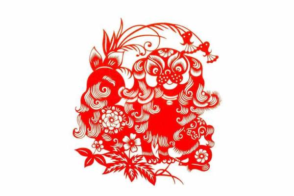 2022年申时出生的人命运解析：命理与生活的交织之美