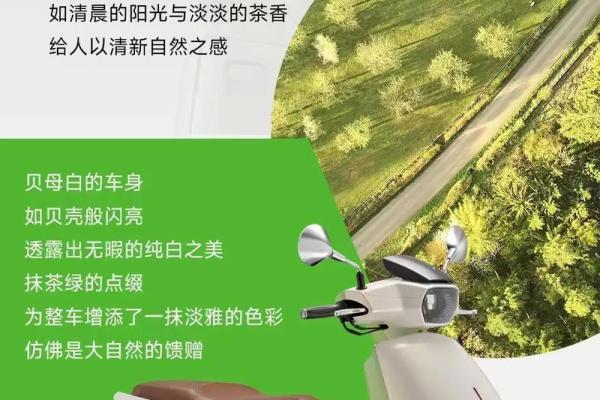 适合穿绿色的命理解析:揭秘色彩与命运的奥秘 适合穿绿色的命理解析:揭秘色彩与命运的奥秘