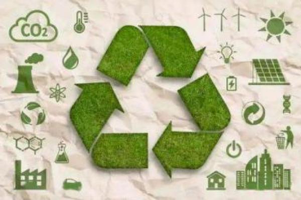 适合穿绿色的命理解析:揭秘色彩与命运的奥秘 适合穿绿色的命理解析:揭秘色彩与命运的奥秘