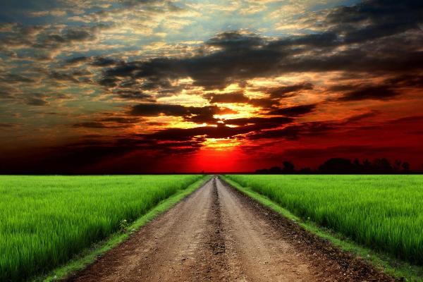 如何看清自己是什么命,探寻命运的奥秘与人生的真谛 如何看清自己是什么命,探寻命运的奥秘与人生的真谛