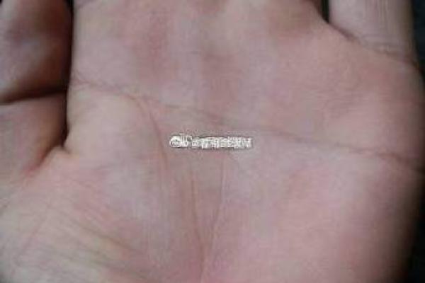 手掌断掌的命格解析:揭示你生命中的秘密与潜能 手掌断掌的命格解析:揭示你生命中的秘密与潜能