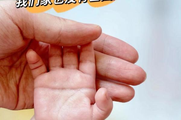 手掌断掌的命格解析:揭示你生命中的秘密与潜能 手掌断掌的命格解析:揭示你生命中的秘密与潜能