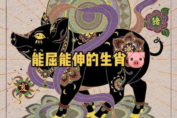 207年属猪命运解析:生肖猪的独特之处与未来发展 207年属猪命运解析:生肖猪的独特之处与未来发展
