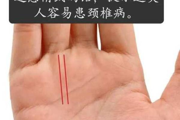 2023年龙宝宝命运解析:揭示运势与性格魅力的玄机 2023年龙宝宝命运解析:揭示运势与性格魅力的玄机