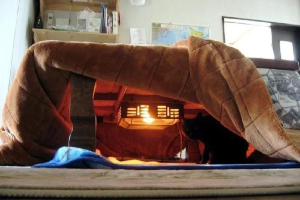 炉中火命:温暖与热情的象征,亦是人生的指引 炉中火命:温暖与热情的象征,亦是人生的指引