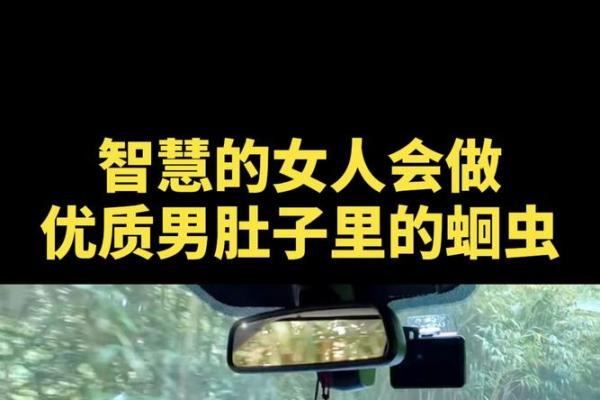 1669年是什么命，解读命局背后的哲学与智慧