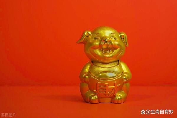 2019年属猪八月出生的人命理分析与生活指南 2019年属猪八月出生的人命理分析与生活指南