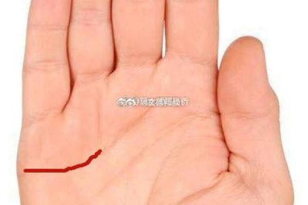 1952年属什么命?探寻命理与生活的奥秘! 1952年属什么命?探寻命理与生活的奥秘!