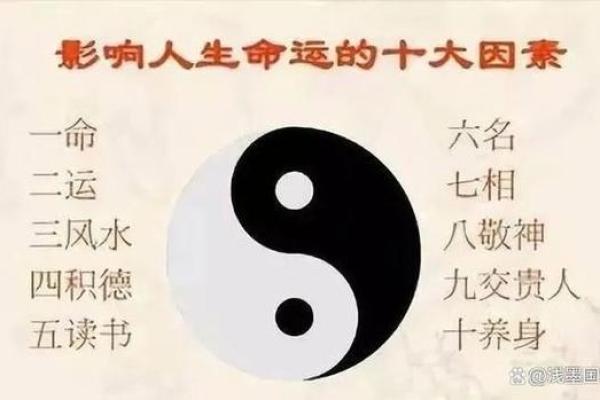 尖峰金命的人如何运用优势发掘人生潜力 尖峰金命的人如何运用优势发掘人生潜力