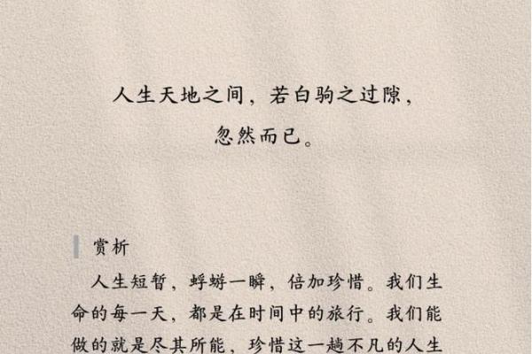 探索每月26日出生者的命格与运势,揭示人生旅程的秘密! 探索每月26日出生者的命格与运势,揭示人生旅程的秘密!