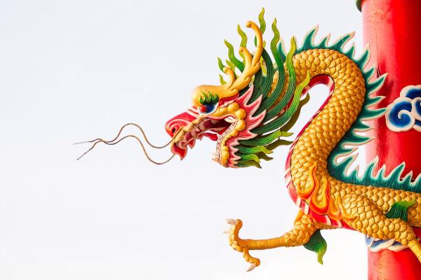 牛年出生的女孩命运分析:智慧与坚韧的结合之美 牛年出生的女孩命运分析:智慧与坚韧的结合之美