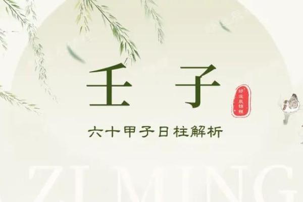 命运交织:解读己巳丙子壬子辛丑的命理之道,探寻生活的奥秘与智慧 命运交织:解读己巳丙子壬子辛丑的命理之道,探寻生活的奥秘与智慧