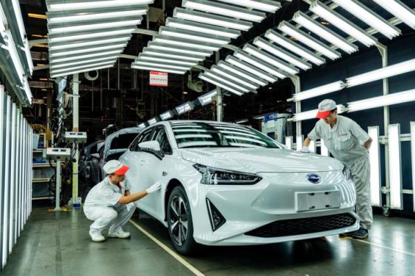 后背胎记的秘密:揭示命运的神秘符号与生活影响 后背胎记的秘密:揭示命运的神秘符号与生活影响