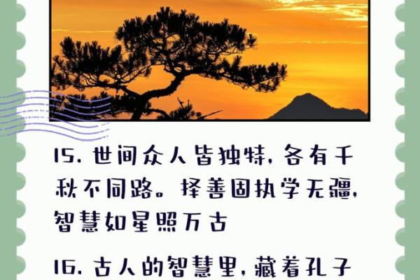 海中金命的内涵与生活启示:探寻金海的财富与智慧 海中金命的内涵与生活启示:探寻金海的财富与智慧