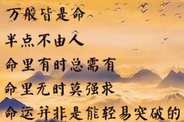 1992年属猴人：聪明机智的命运与人生选择