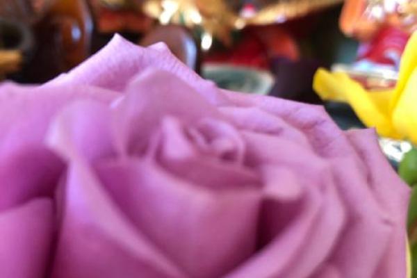 为什么出马仙命不好?揭开背后的神秘面纱与真实原因 为什么出马仙命不好?揭开背后的神秘面纱与真实原因