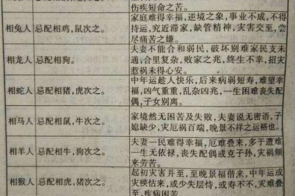 鼠年出生者的命理解析:揭开命运的神秘面纱 鼠年出生者的命理解析:揭开命运的神秘面纱