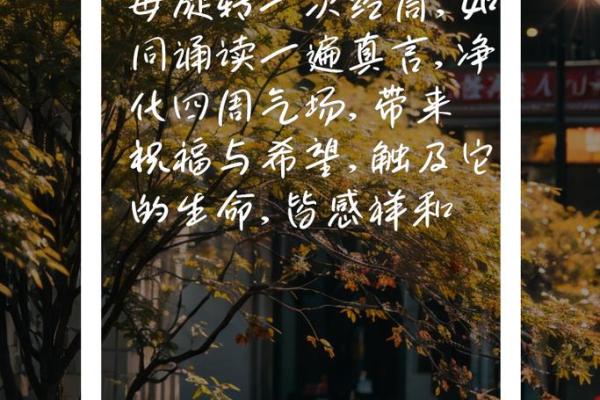 童子命修行:推荐的经文与心灵成长之路 童子命修行:推荐的经文与心灵成长之路