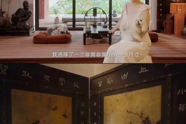 童子命如何在泰山之巅寻求心灵的宁静与启示