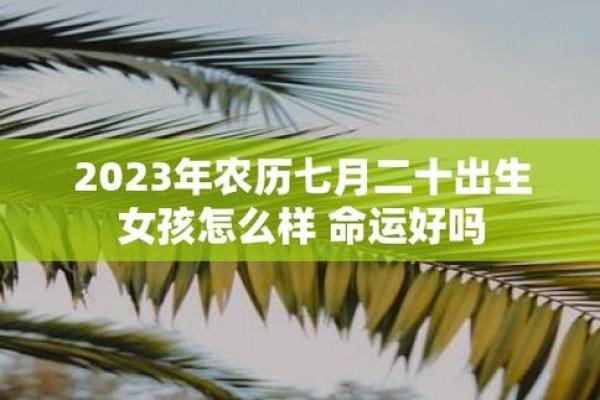 2023年出生宝宝命运解析：你的孩子会拥有什么样的未来？