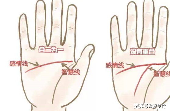 1965年属蛇命人的命运与性格探秘：智慧与变革并存的传奇之旅