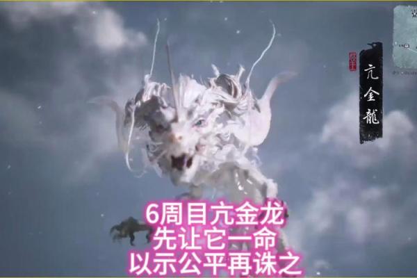 金龙命佩戴的意义：探寻其背后的文化与精神价值