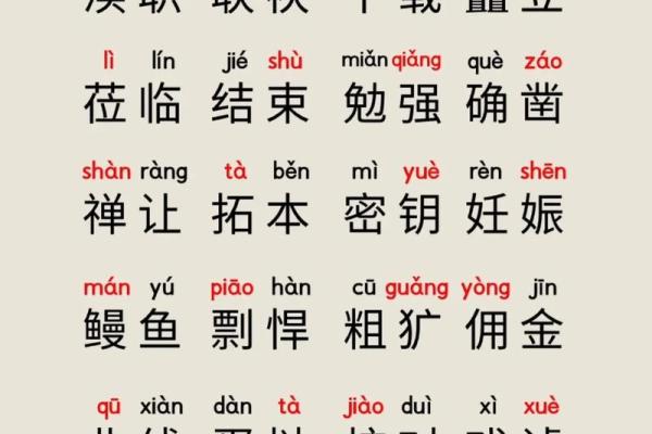 男人属老鼠，解密命运与性格的奥秘