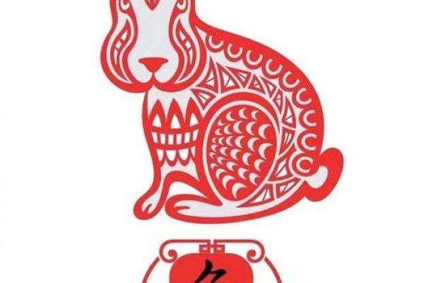 火兔命如何选择佩戴颜色，提升运势与魅力