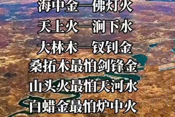白蜡金命的佩戴禁忌与独特魅力探寻