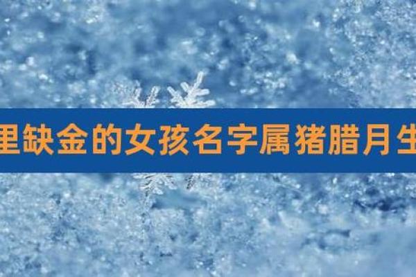 木命女孩名字推荐：灵动自然，展现个性之美！