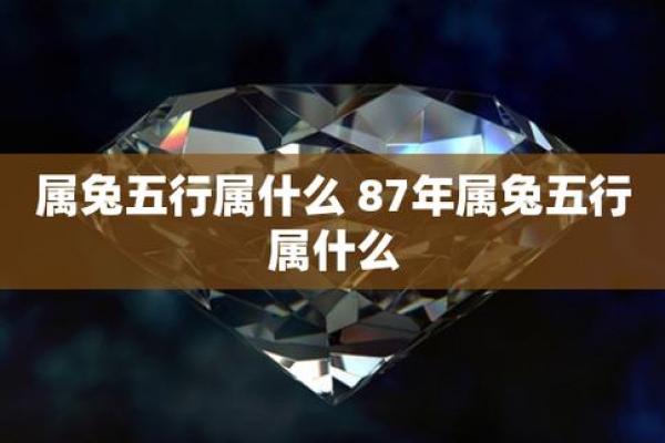 2018年属兔命理解析：如何运用五行提升运势与生活品质