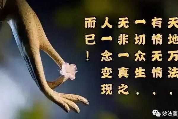 94属狗的人命运解析:忠诚与责任的生命旅程 94属狗的人命运解析:忠诚与责任的生命旅程